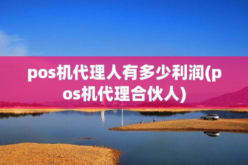 pos机代理人有多少利润(pos机代理合伙人)