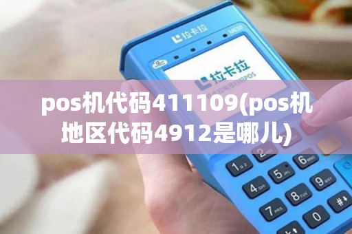 pos机代码411109(pos机地区代码4912是哪儿)