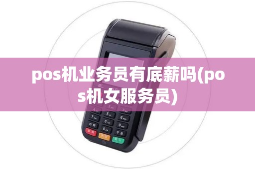 pos机业务员有底薪吗(pos机女服务员)