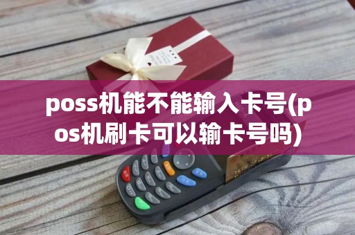 poss机能不能输入卡号(pos机刷卡可以输卡号吗)