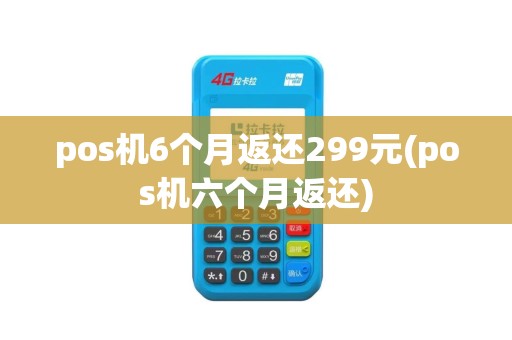 pos机6个月返还299元(pos机六个月返还)