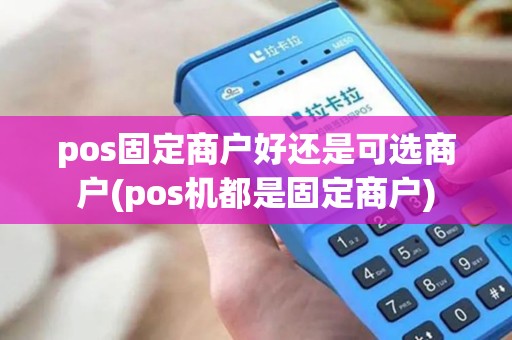 pos固定商户好还是可选商户(pos机都是固定商户)