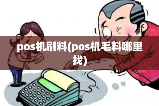 pos机刷料(pos机毛料哪里找)