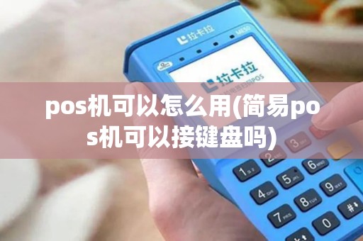 pos机可以怎么用(简易pos机可以接键盘吗)