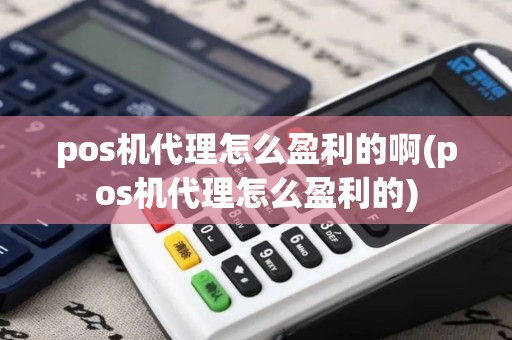 pos机代理怎么盈利的啊(pos机代理怎么盈利的)