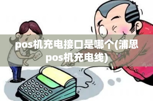 pos机充电接口是哪个(浦思pos机充电线)