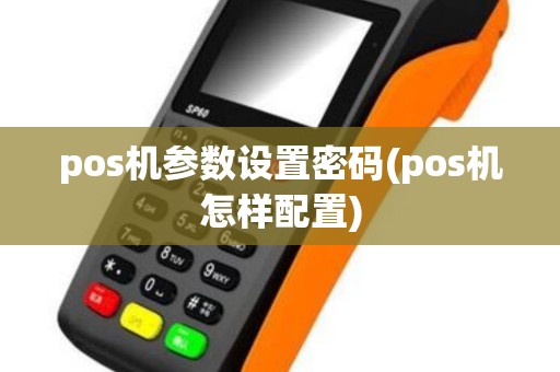 pos机参数设置密码(pos机怎样配置)