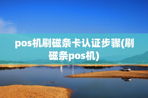 pos机刷磁条卡认证步骤(刷磁条pos机)