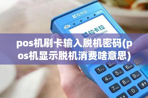 pos机刷卡输入脱机密码(pos机显示脱机消费啥意思)