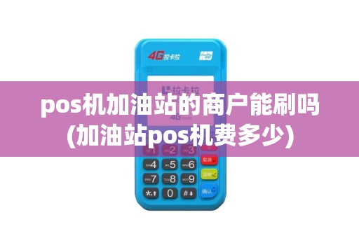 pos机加油站的商户能刷吗(加油站pos机费多少)