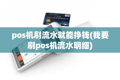 pos机刷流水就能挣钱(我要刷pos机流水明细)
