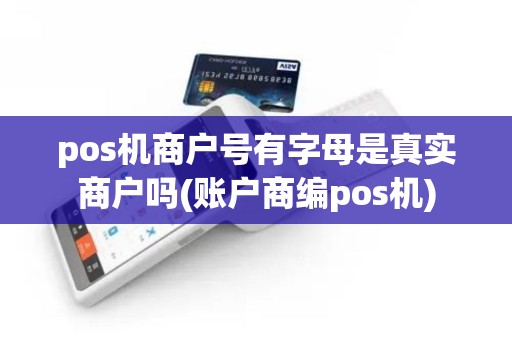 pos机商户号有字母是真实商户吗(账户商编pos机)