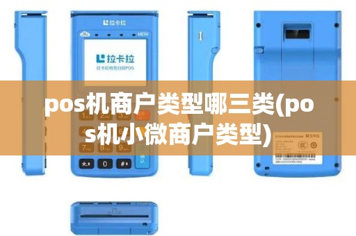 pos机商户类型哪三类(pos机小微商户类型)