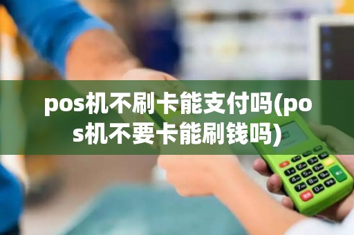 pos机不刷卡能支付吗(pos机不要卡能刷钱吗)