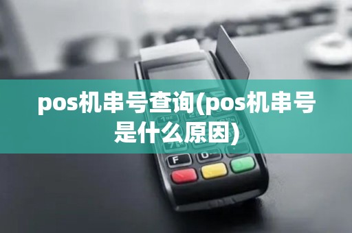 pos机串号查询(pos机串号是什么原因)