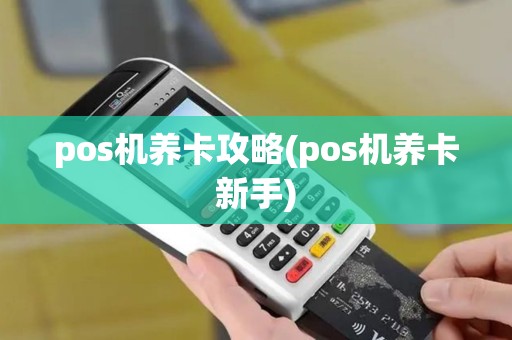 pos机养卡攻略(pos机养卡新手) pos机养卡攻略(pos机养卡新手)