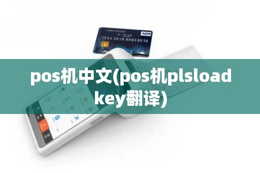 pos机中文(pos机plsloadkey翻译) pos机中文(pos机plsloadkey翻译)