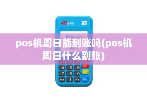 pos机周日能到账吗(pos机周日什么到账) pos机周日能到账吗(pos机周日什么到账)