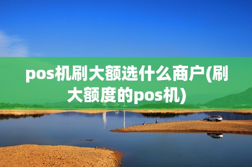 pos机刷大额选什么商户(刷大额度的pos机)