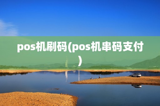 pos机刷码(pos机串码支付)