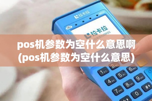pos机参数为空什么意思啊(pos机参数为空什么意思) pos机参数为空什么意思啊(pos机参数为空什么意思)