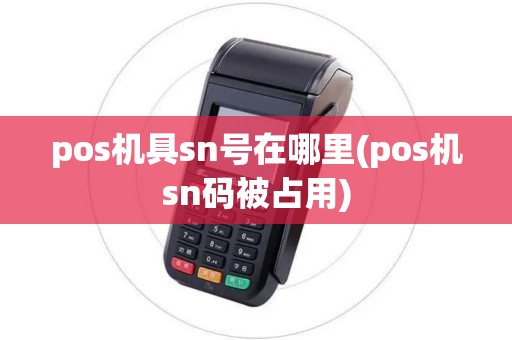pos机具sn号在哪里(pos机sn码被占用)
