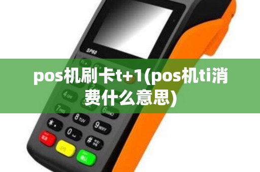 pos机刷卡t+1(pos机ti消费什么意思)