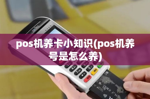pos机养卡小知识(pos机养号是怎么养)