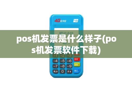 pos机发票是什么样子(pos机发票软件下载)