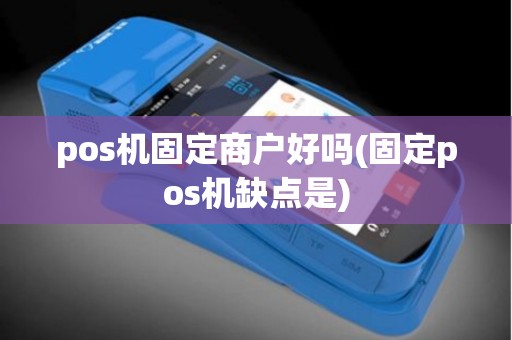 pos机固定商户好吗(固定pos机缺点是)