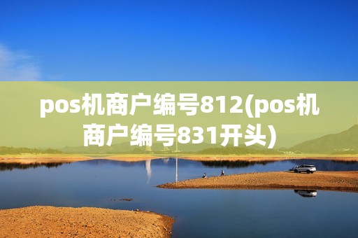 pos机商户编号812(pos机商户编号831开头)