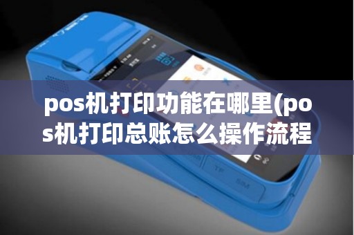 pos机打印功能在哪里(pos机打印总账怎么操作流程)