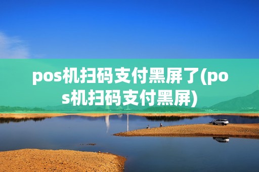 pos机扫码支付黑屏了(pos机扫码支付黑屏)