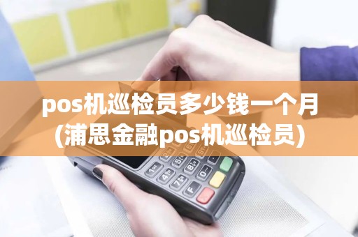 pos机巡检员多少钱一个月(浦思金融pos机巡检员)
