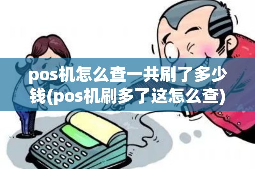 pos机怎么查一共刷了多少钱(pos机刷多了这怎么查)