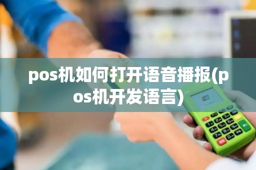 pos机如何打开语音播报(pos机开发语言)