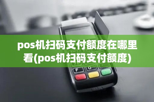 pos机扫码支付额度在哪里看(pos机扫码支付额度)