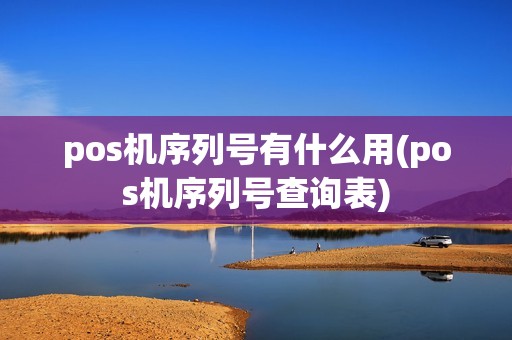 pos机序列号有什么用(pos机序列号查询表)