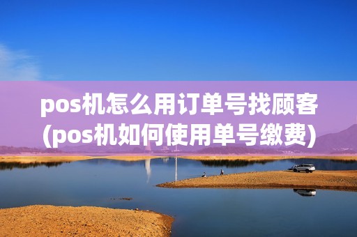 pos机怎么用订单号找顾客(pos机如何使用单号缴费)