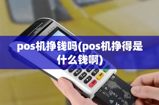 pos机挣钱吗(pos机挣得是什么钱啊)