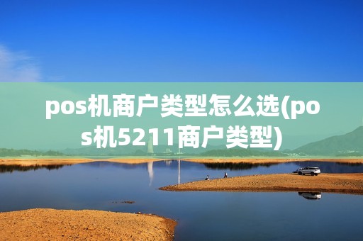 pos机商户类型怎么选(pos机5211商户类型) pos机商户类型怎么选(pos机5211商户类型)