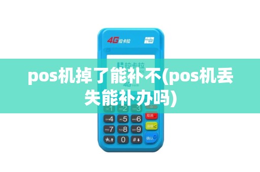 pos机掉了能补不(pos机丢失能补办吗) pos机掉了能补不(pos机丢失能补办吗)