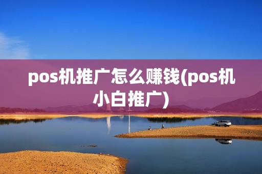 pos机推广怎么赚钱(pos机小白推广)