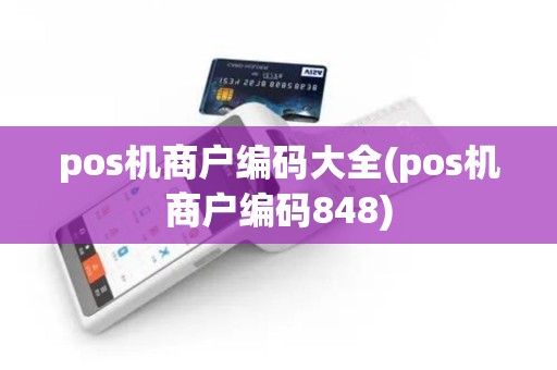 pos机商户编码大全(pos机商户编码848)