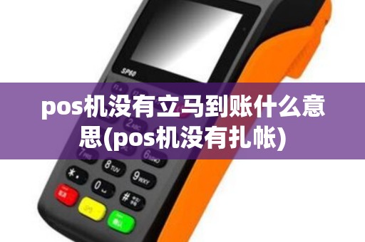 pos机没有立马到账什么意思(pos机没有扎帐)