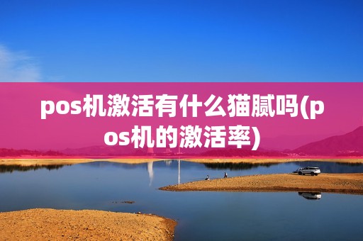 pos机激活有什么猫腻吗(pos机的激活率)