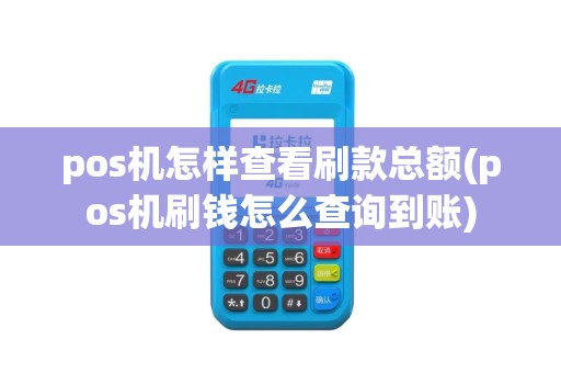 pos机怎样查看刷款总额(pos机刷钱怎么查询到账)