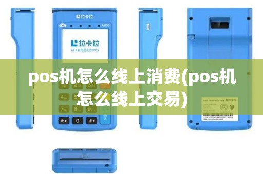 pos机怎么线上消费(pos机怎么线上交易)