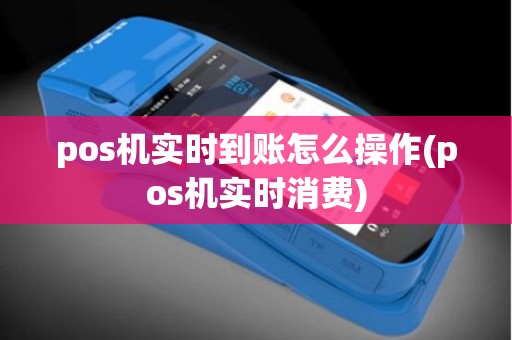 pos机实时到账怎么操作(pos机实时消费)