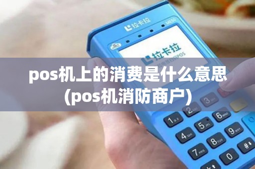 pos机上的消费是什么意思(pos机消防商户)